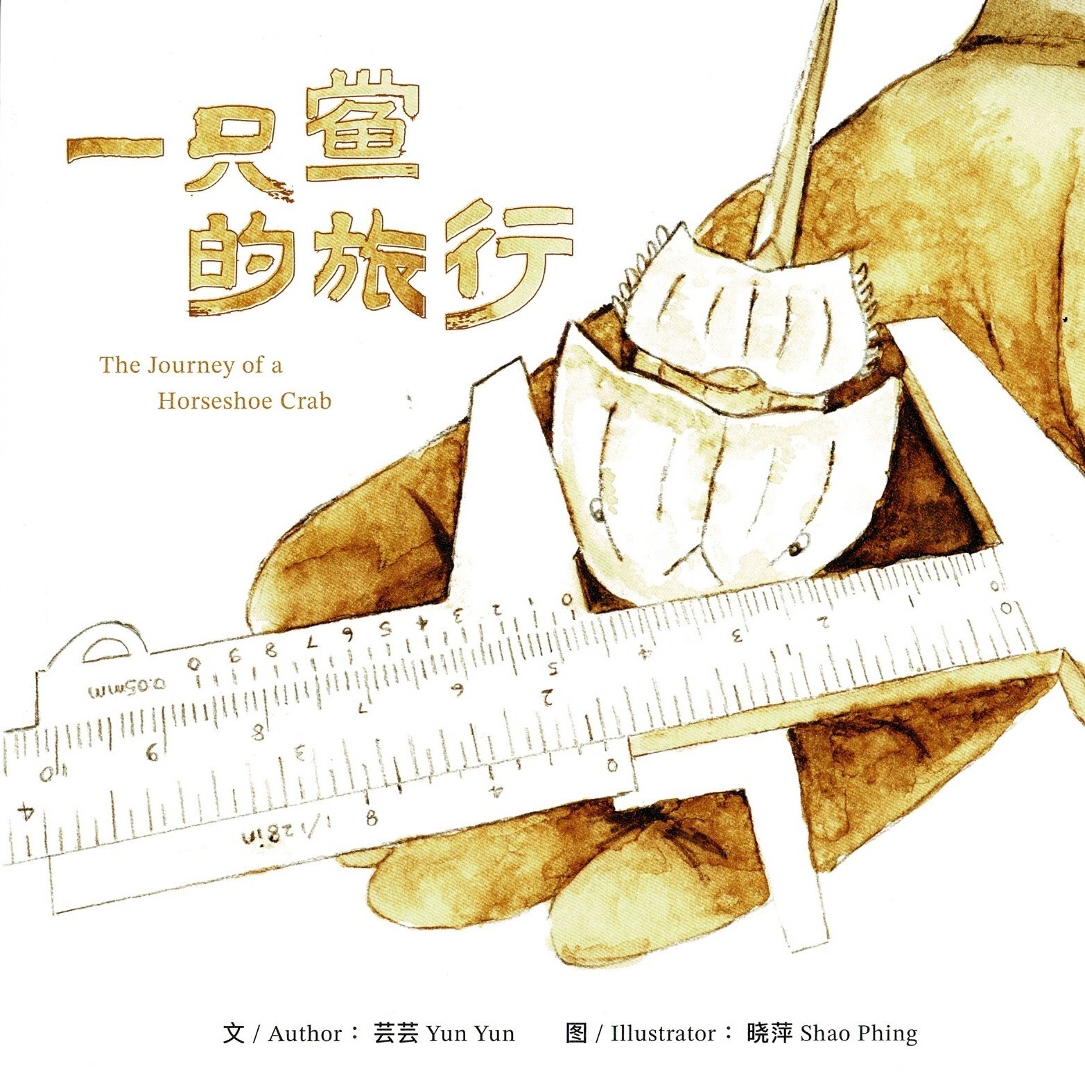一隻鱟的旅行 The Journey of A Horseshoe Crab